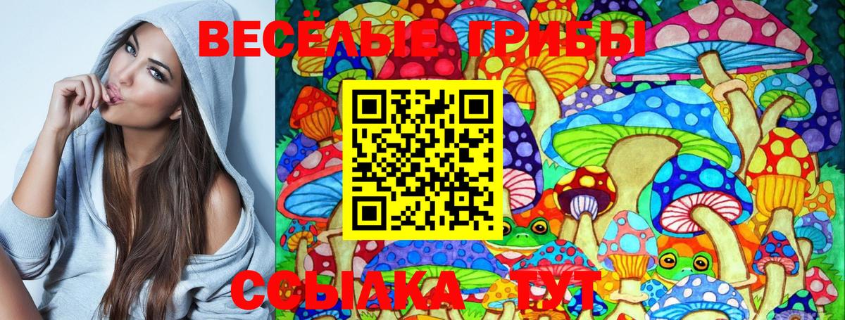 Галлюциногенные грибы GOLDEN TEACHER Верхняя Салда